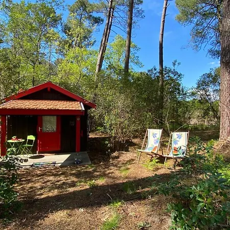 Holiday home Le Petit Poulailler Au Beau Milieu Des Pins