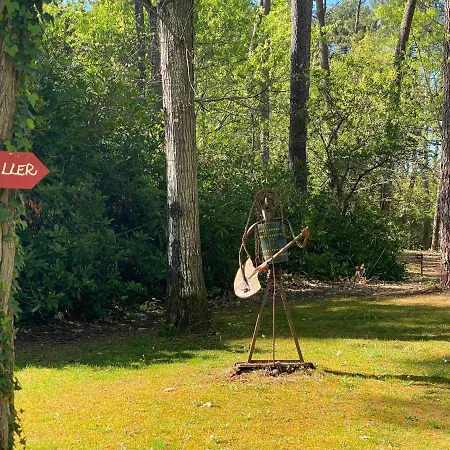 Le Petit Poulailler Au Beau Milieu Des Pins Holiday home Lacanau