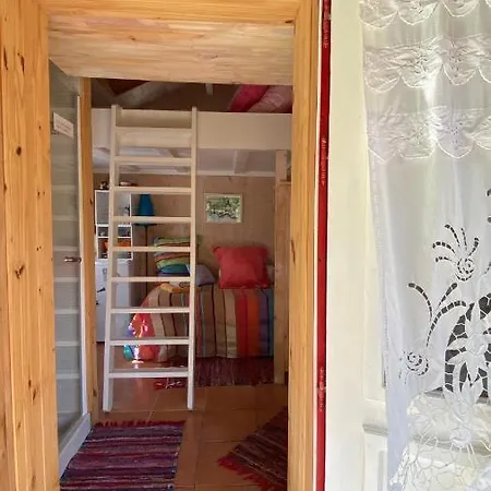 Le Petit Poulailler Au Beau Milieu Des Pins Holiday home *
