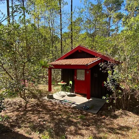 Holiday home Le Petit Poulailler Au Beau Milieu Des Pins Lacanau
