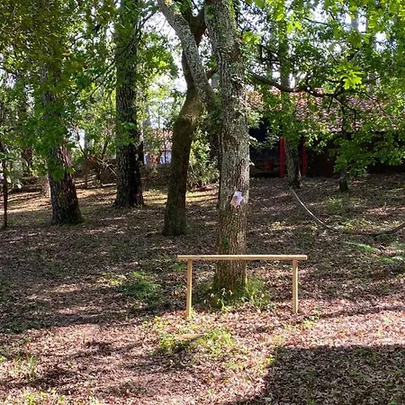 Le Petit Poulailler Au Beau Milieu Des Pins Holiday home Lacanau