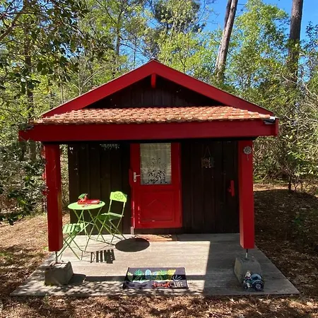 Holiday home Le Petit Poulailler Au Beau Milieu Des Pins