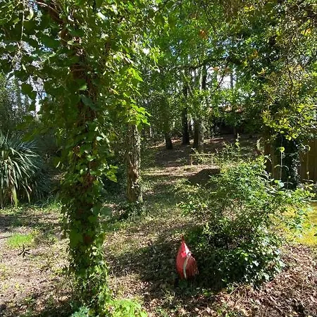 Le Petit Poulailler Au Beau Milieu Des Pins Holiday home