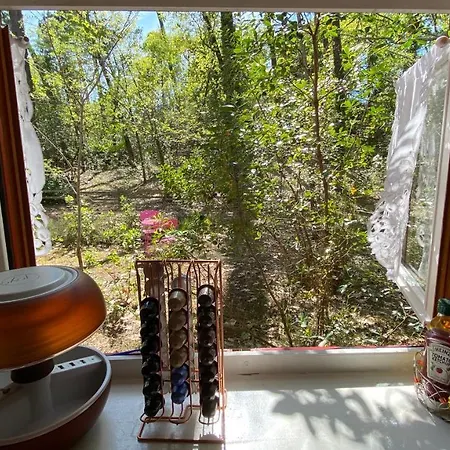 Le Petit Poulailler Au Beau Milieu Des Pins