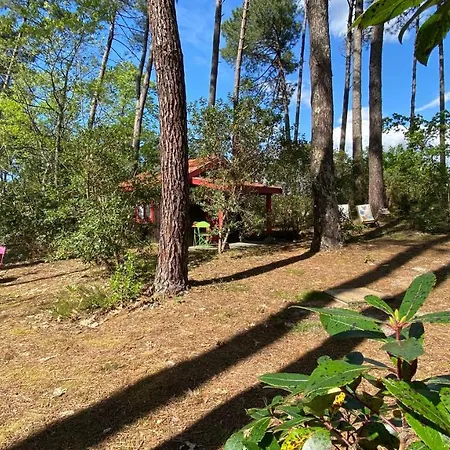 Holiday home Le Petit Poulailler Au Beau Milieu Des Pins *