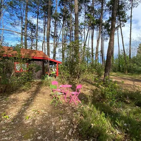 Le Petit Poulailler Au Beau Milieu Des Pins Holiday home Lacanau