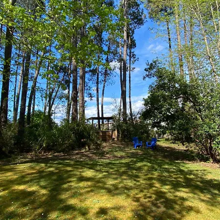 Holiday home Le Petit Poulailler Au Beau Milieu Des Pins