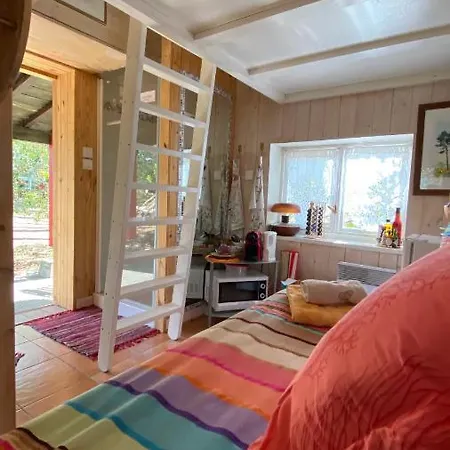 Holiday home Le Petit Poulailler Au Beau Milieu Des Pins