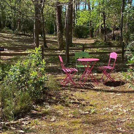 Holiday home Le Petit Poulailler Au Beau Milieu Des Pins Lacanau